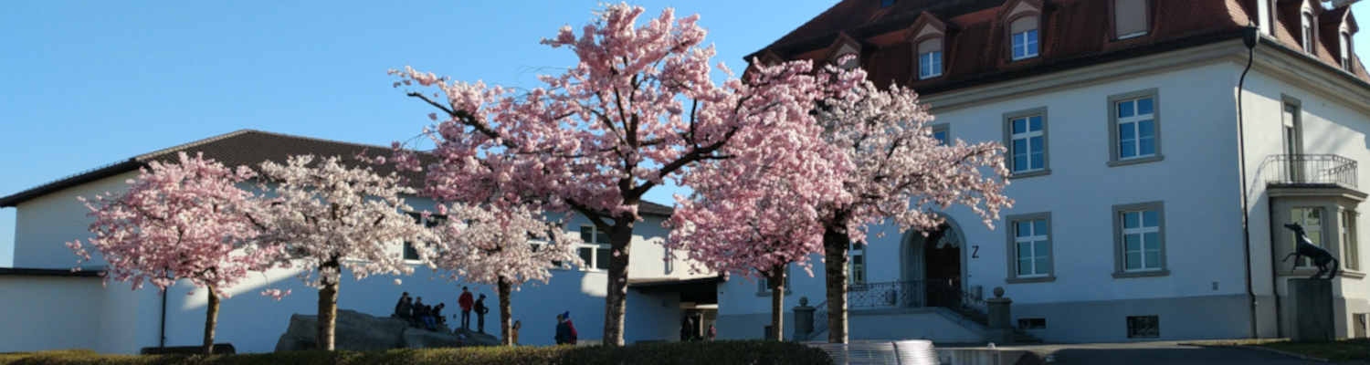 Schule Grüningen