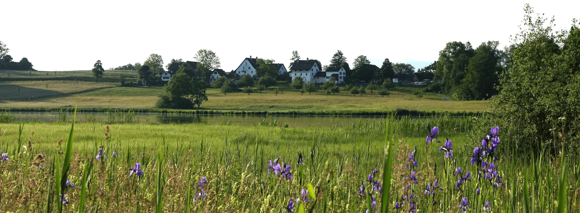 Gemeinde Hombrechtikon