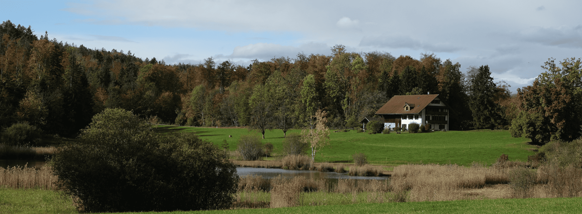 Gemeinde Hombrechtikon